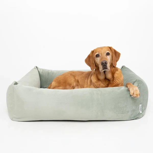 Ruff & Tumble Velvet Burnham Bolster Dog Bed in Pistachio with dog