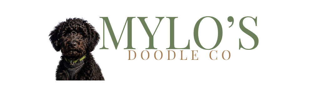 Mylo's Doodle Co