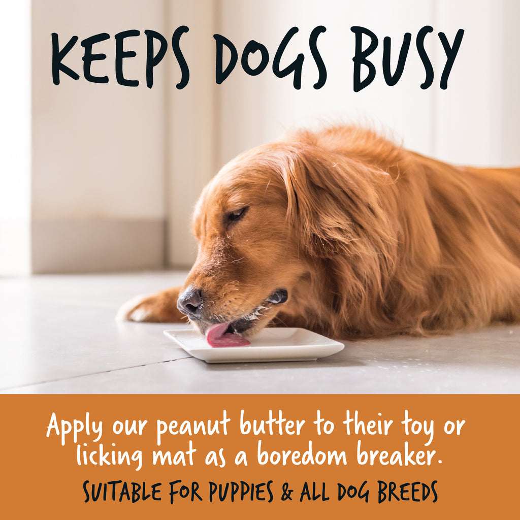 Bugalugs 100% Peanut Butter enrichment for dogs