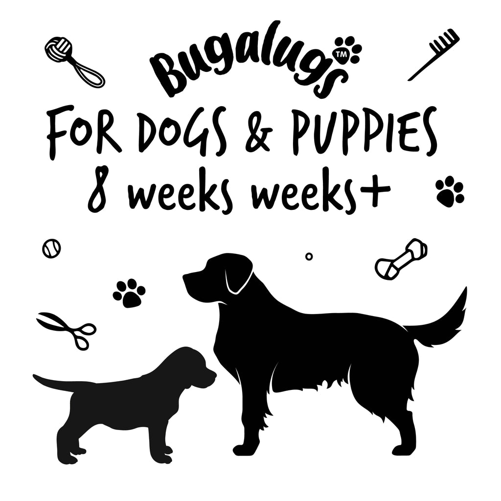 Bugalugs 4-in-1 Conditioning Shampoo for dogs and puppies
