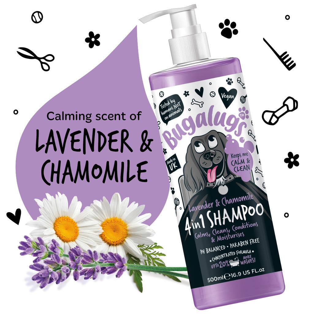 Bugalugs 4-in-1 Shampoo lavender and chamomile ingredients and benefits