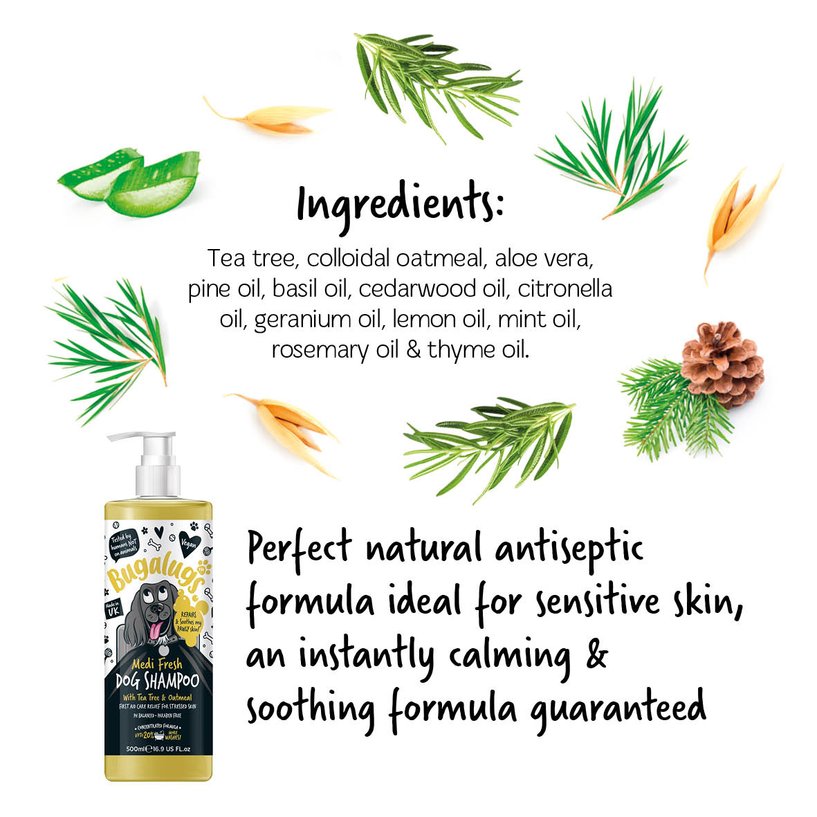 Bugalugs Medi Fresh Shampoo ingredients