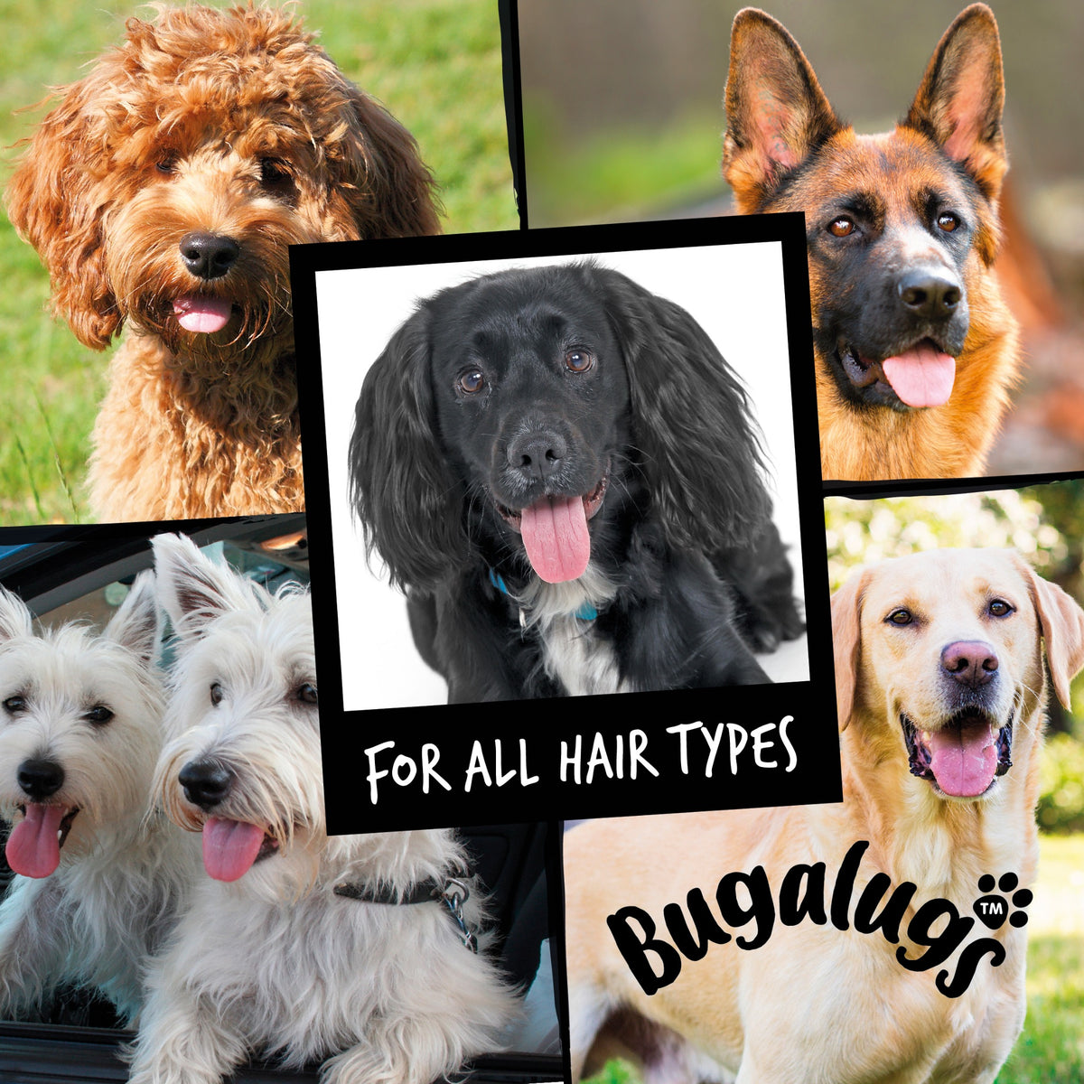 Bugalugs Shampoo suitable for all hair types