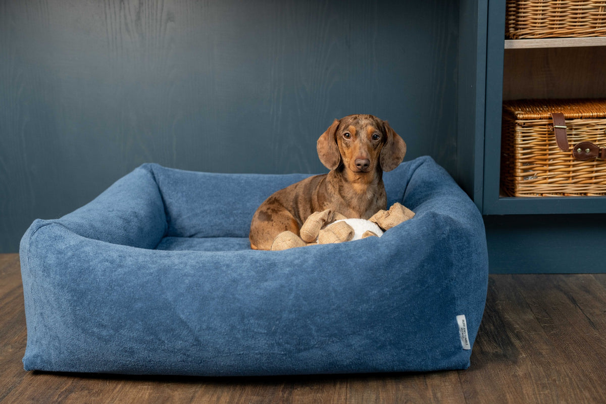 Ruff & Tumble Burnham Bolster Towelling Bed Cover in Denim with dog
