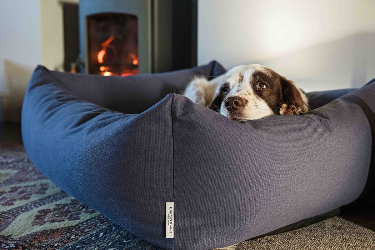 Ruff & Tumble Canvas Denim Burnham Bolster Dog Bed with dog