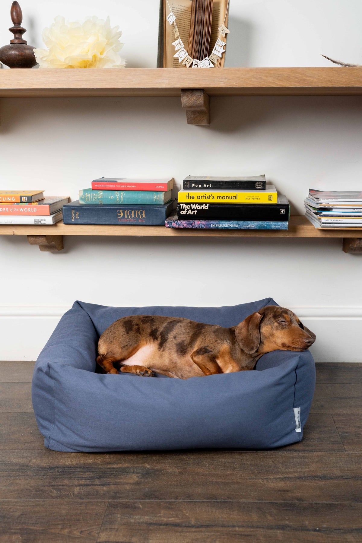 Ruff & Tumble Canvas Denim Burnham Bolster Dog Bed with dog