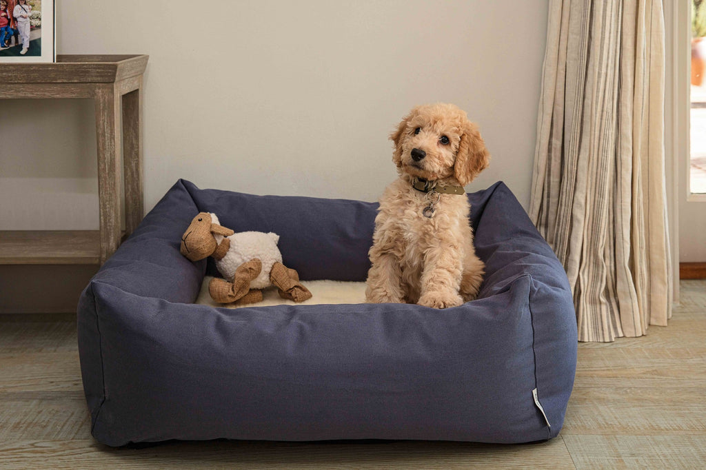 Ruff & Tumble Canvas Denim Burnham Bolster Dog Bed with puppy