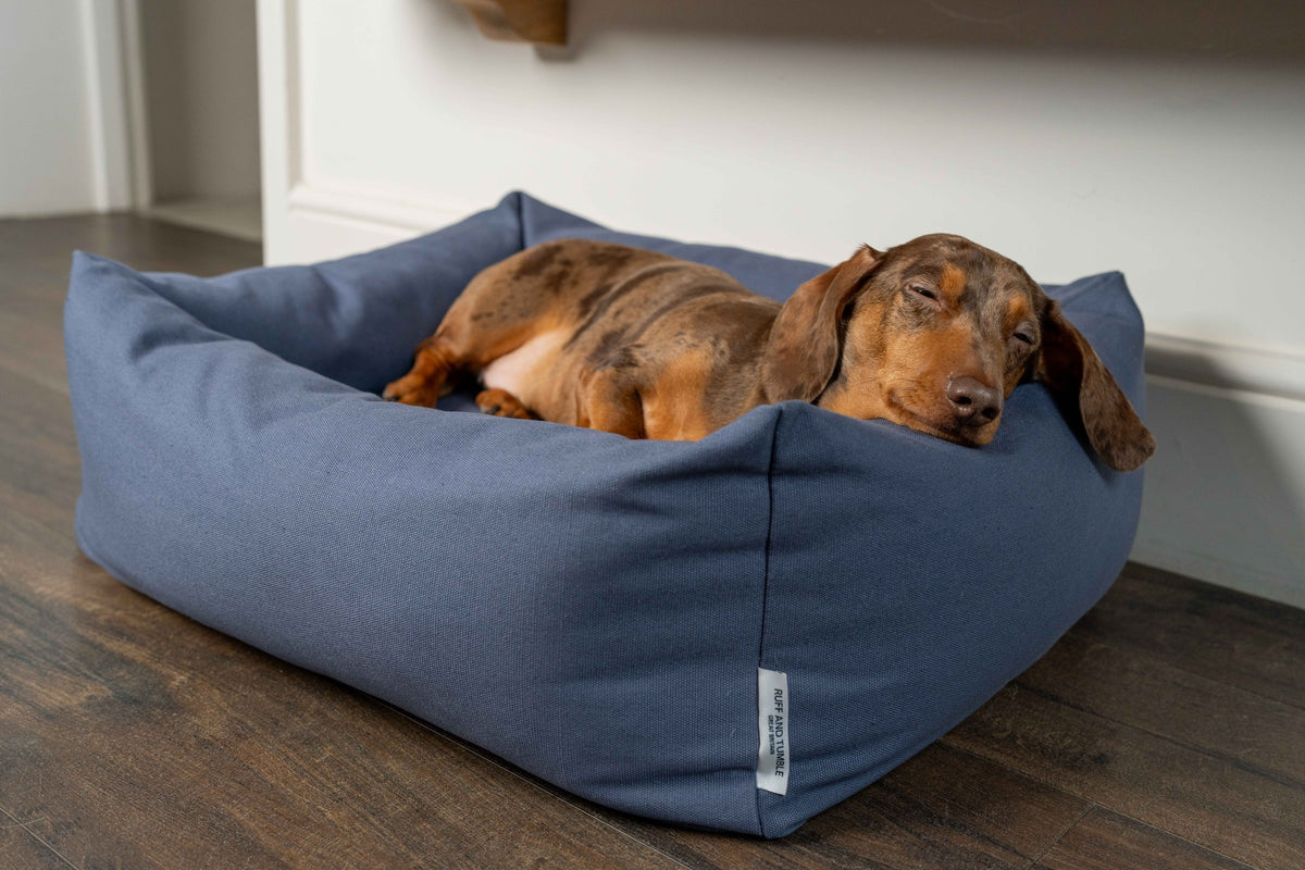 Ruff & Tumble Canvas Denim Burnham Bolster Dog Bed with dog