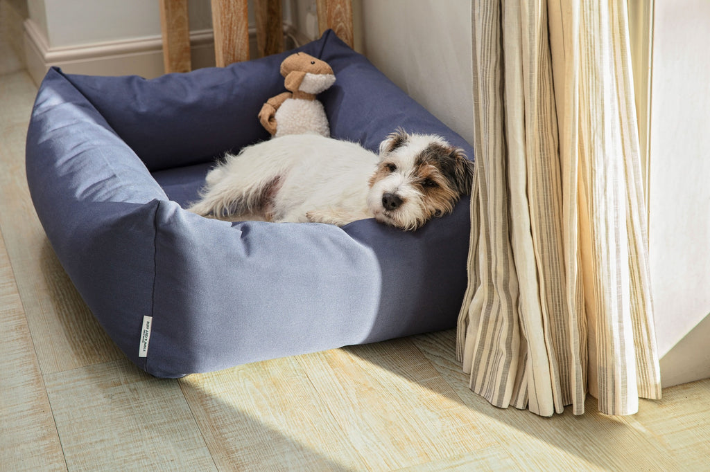 Ruff & Tumble Canvas Denim Burnham Bolster Dog Bed with dog