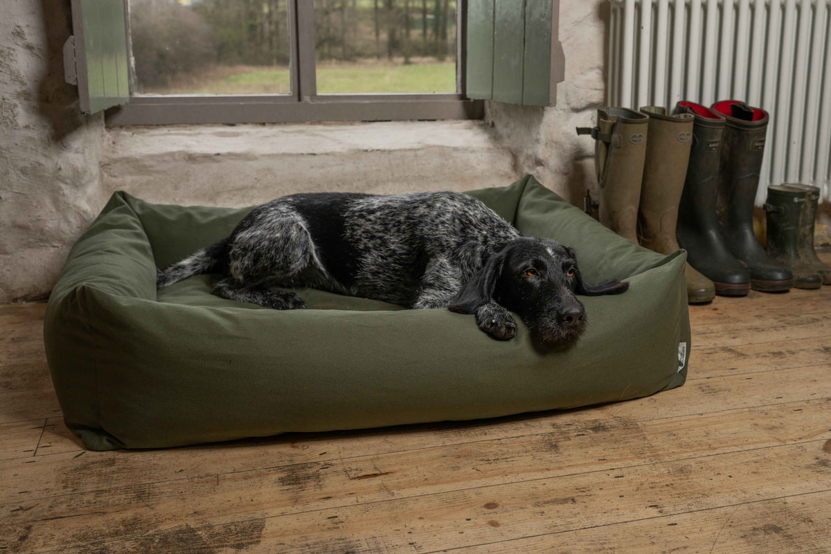 Canvas Olive Burnham Bolster Dog Bed