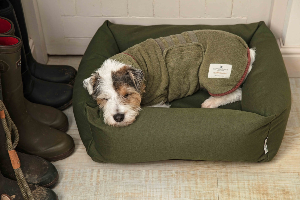 Dog relaxing in Canvas Olive Burnham Bolster Dog Bed