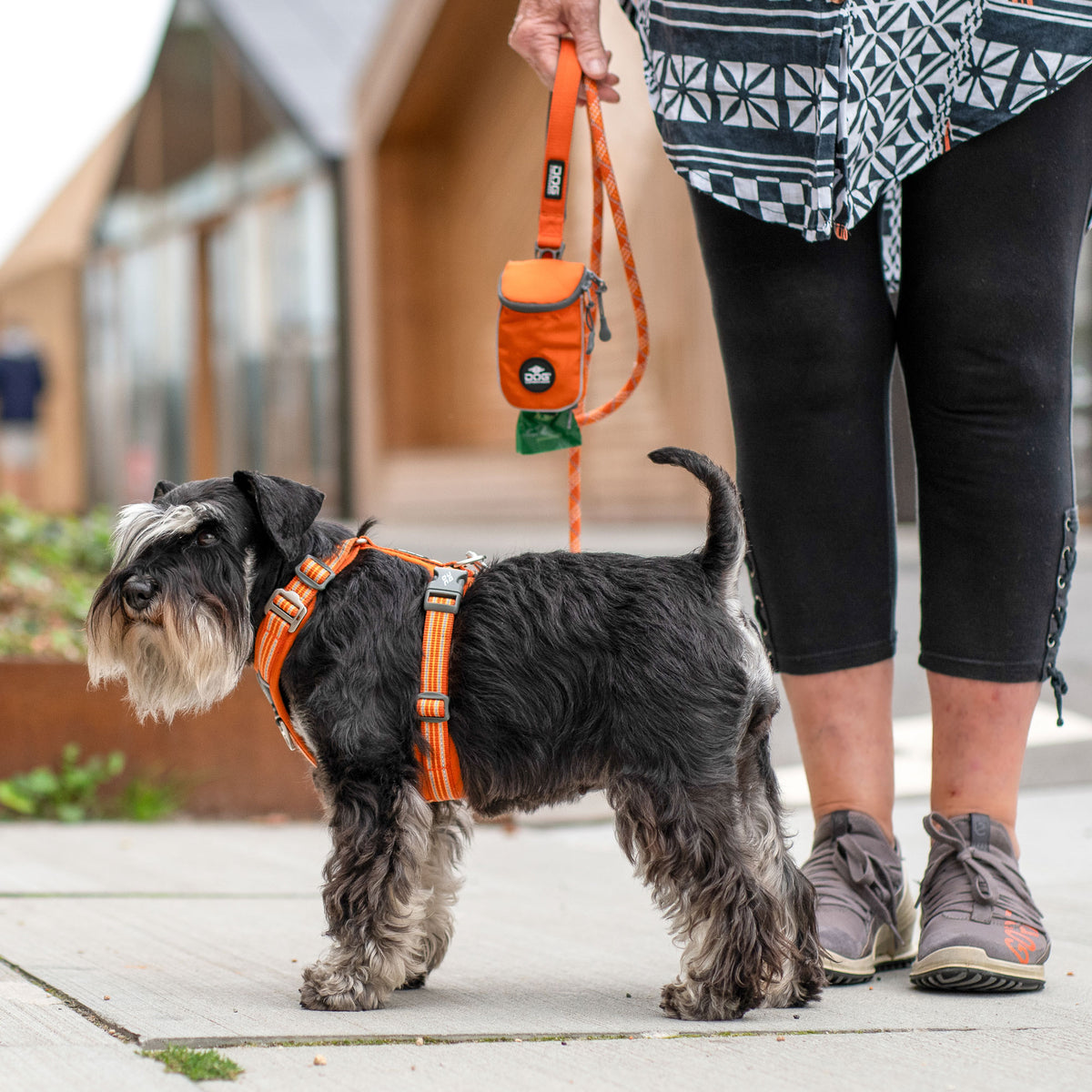 DOG Copenhagen Comfort Walk Air Harness lifestyle photograph