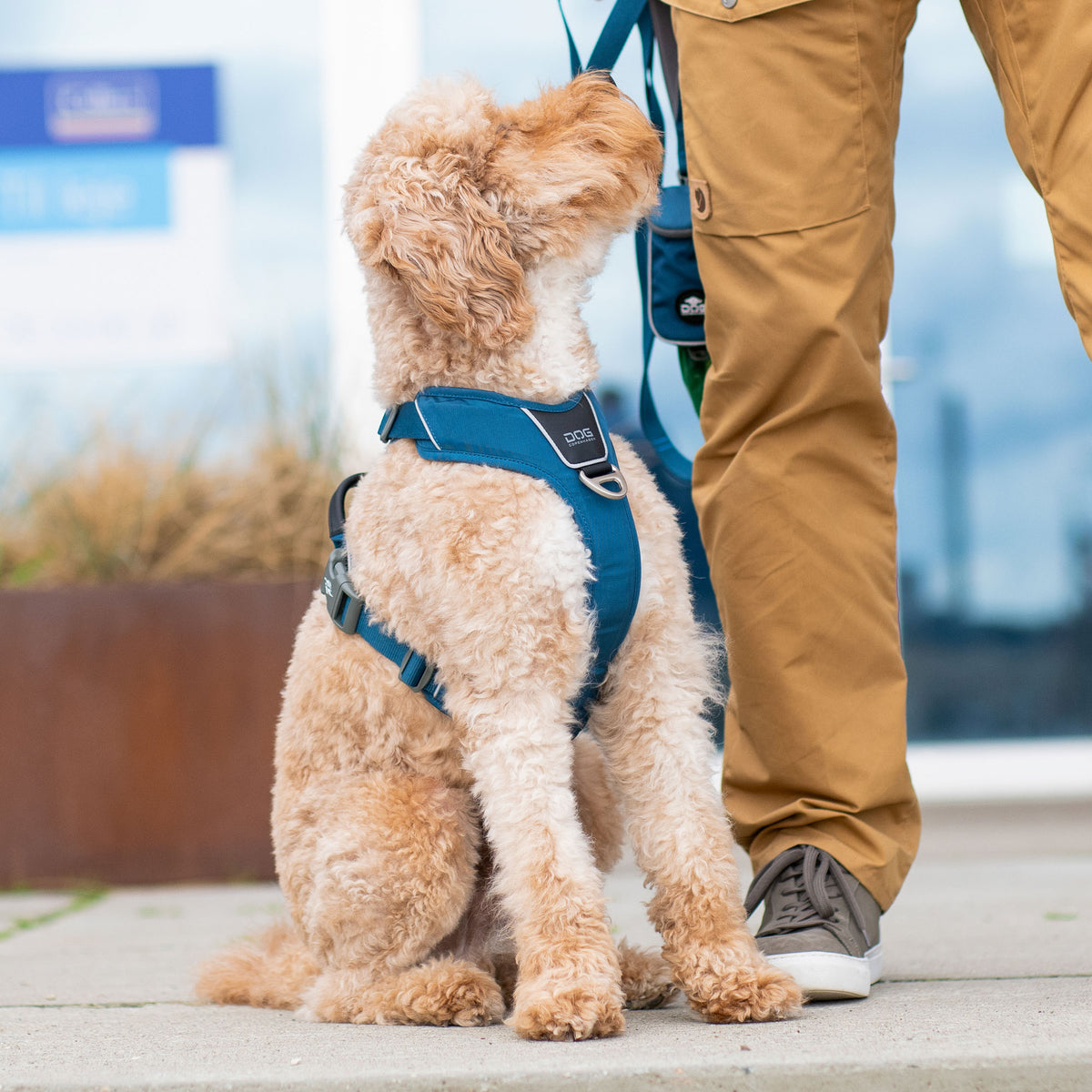 DOG Copenhagen Comfort Walk Pro Harness lifestyle image