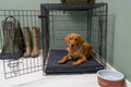 Ruff & Tumble Crate Mat Boot Bed in Black inside a crate