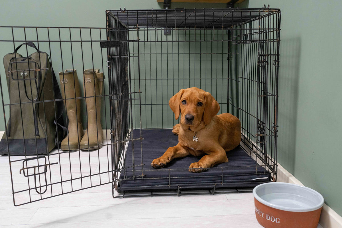 Ruff & Tumble Crate Mat Boot Bed in Black inside a crate