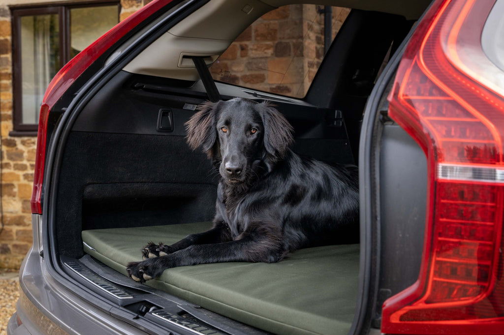 Dog resting on Ruff & Tumble Crate Mat Boot Bed in Olive