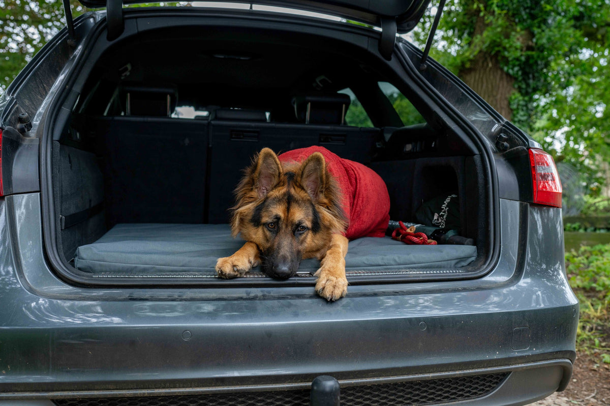 Ruff & Tumble Crate Mat Boot Bed in Storm with dog in car boot
