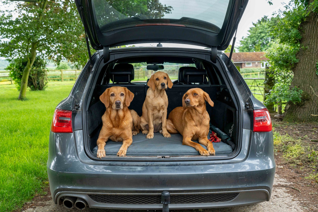 Ruff & Tumble Crate Mat Boot Bed in Storm with dogs in car boot