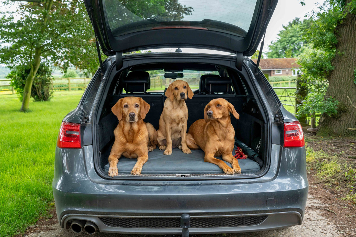 Ruff & Tumble Crate Mat Boot Bed in Storm with dogs in car boot