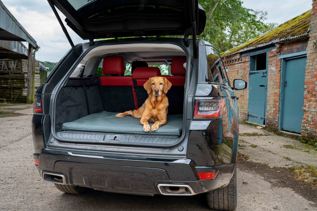 Ruff & Tumble Crate Mat Boot Bed in Storm with dog in SUV
