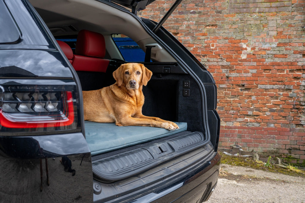 Ruff & Tumble Crate Mat Boot Bed in Storm close view with dog