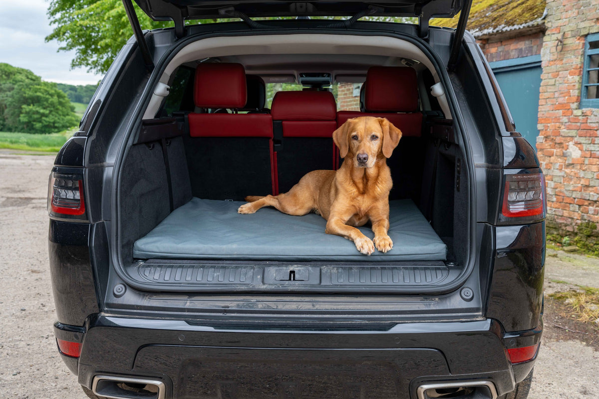 Ruff & Tumble Crate Mat Boot Bed in Storm with dog in car boot