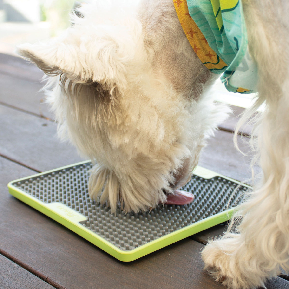 Dog using LickiMat Tuff Soother
