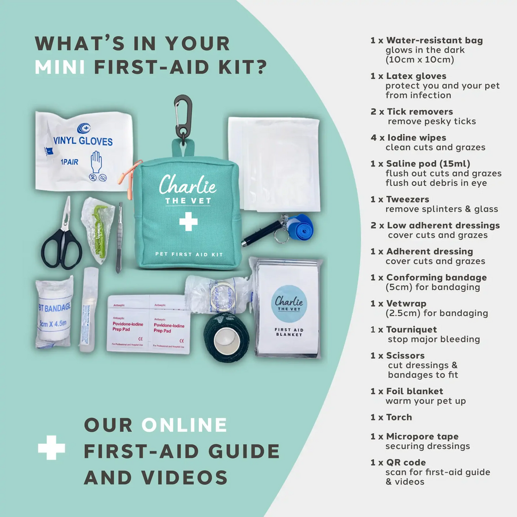 Contents of the Charlie The Vet Mini Pet First Aid Kit