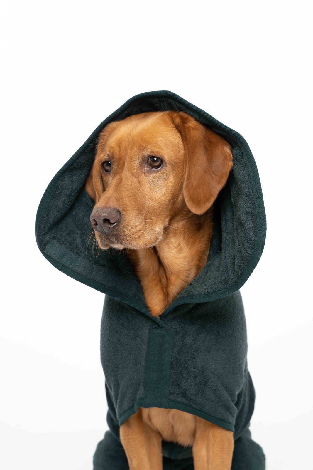 Ruff & Tumble Classic Collection Drying Coat in Forest