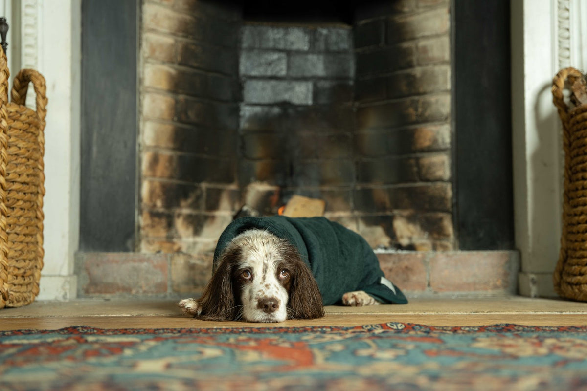 Ruff & Tumble Classic Collection Drying Coat lifestyle