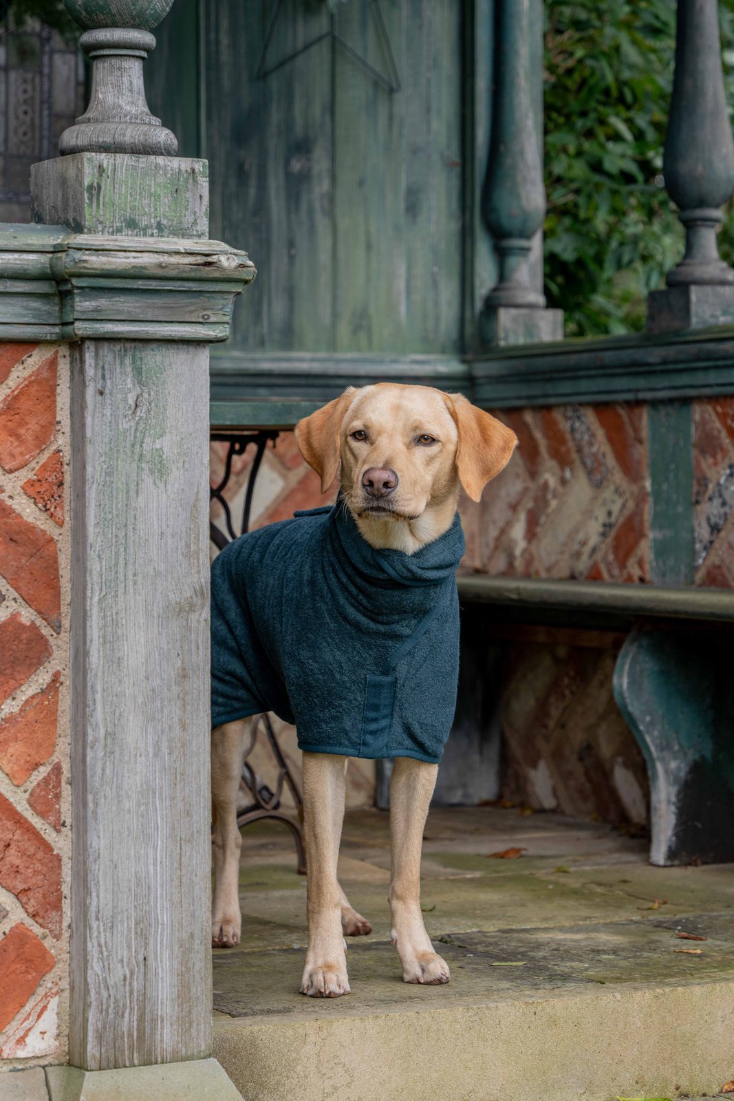 Ruff & Tumble Classic Collection Drying Coat lifestyle