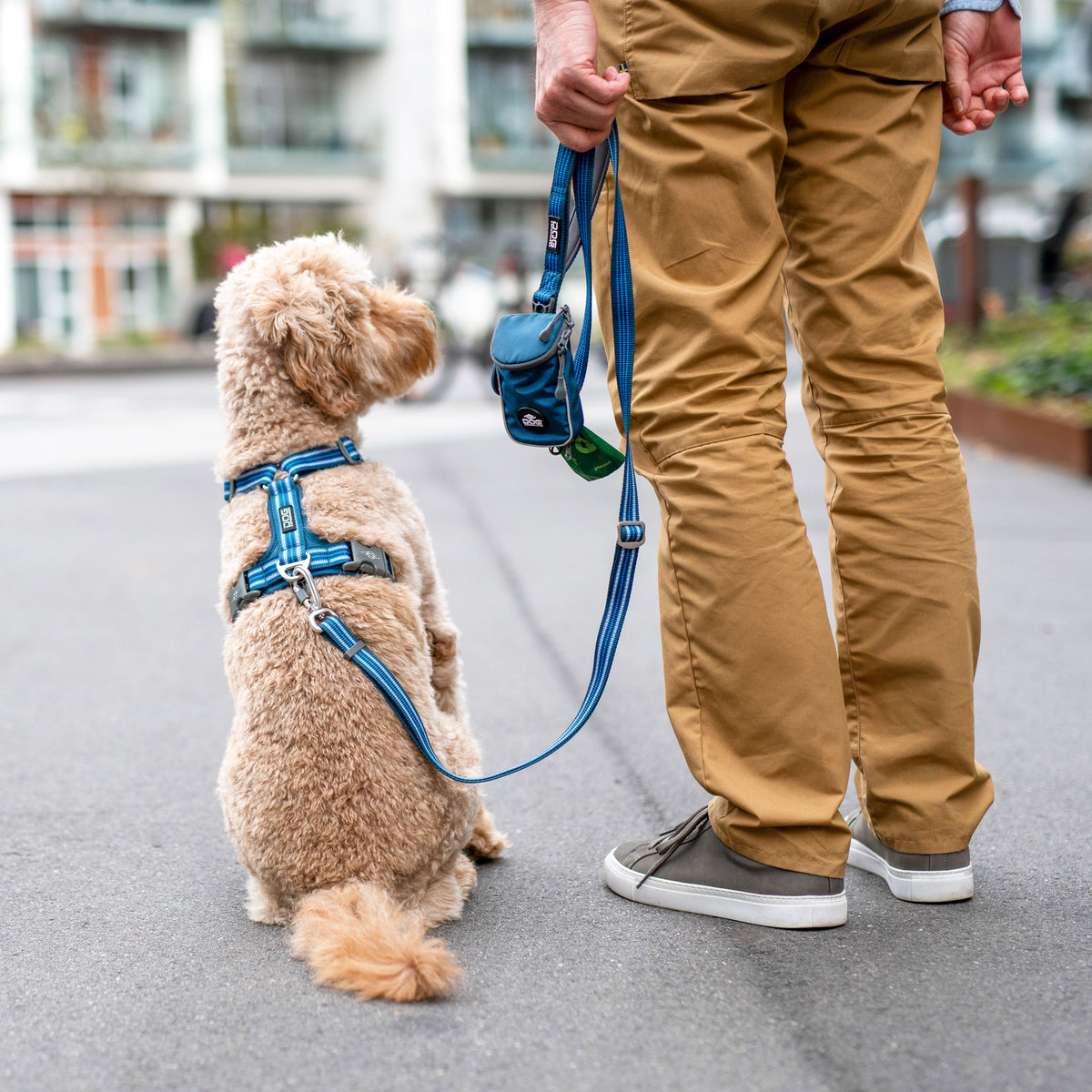 DOG Copenhagen Urban Freestyle Leash lifestyle with dog