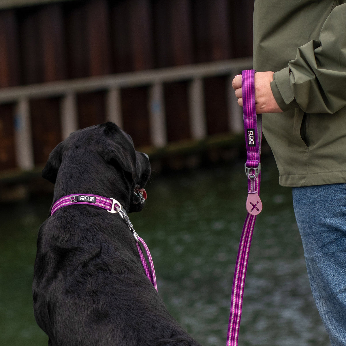 DOG Copenhagen Urban Freestyle Leash lifestyle with dog