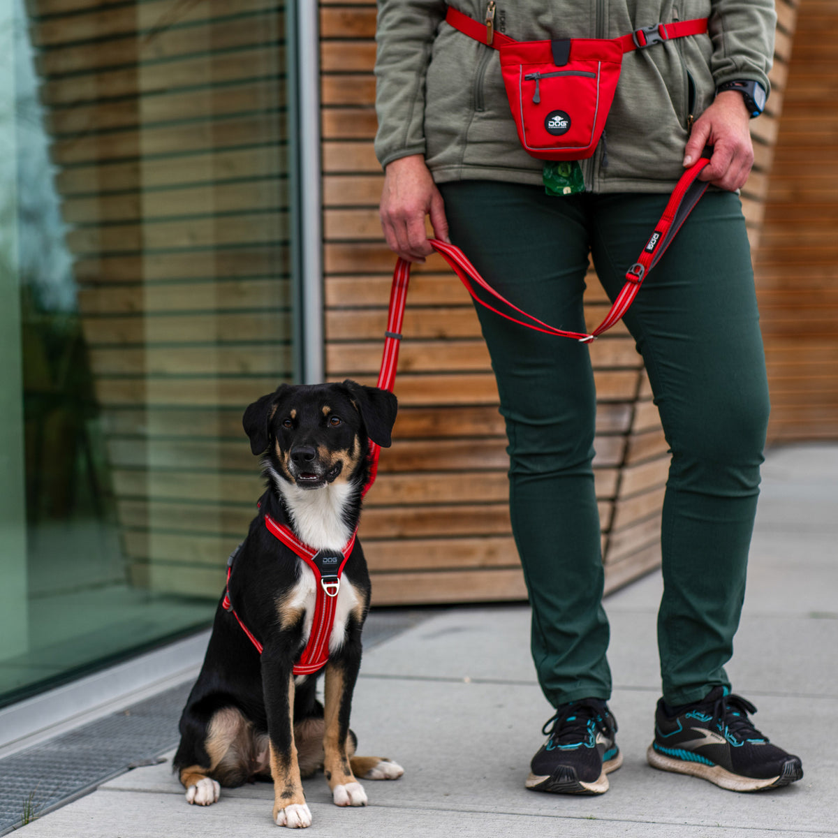 DOG Copenhagen Urban Freestyle Leash lifestyle walking scene