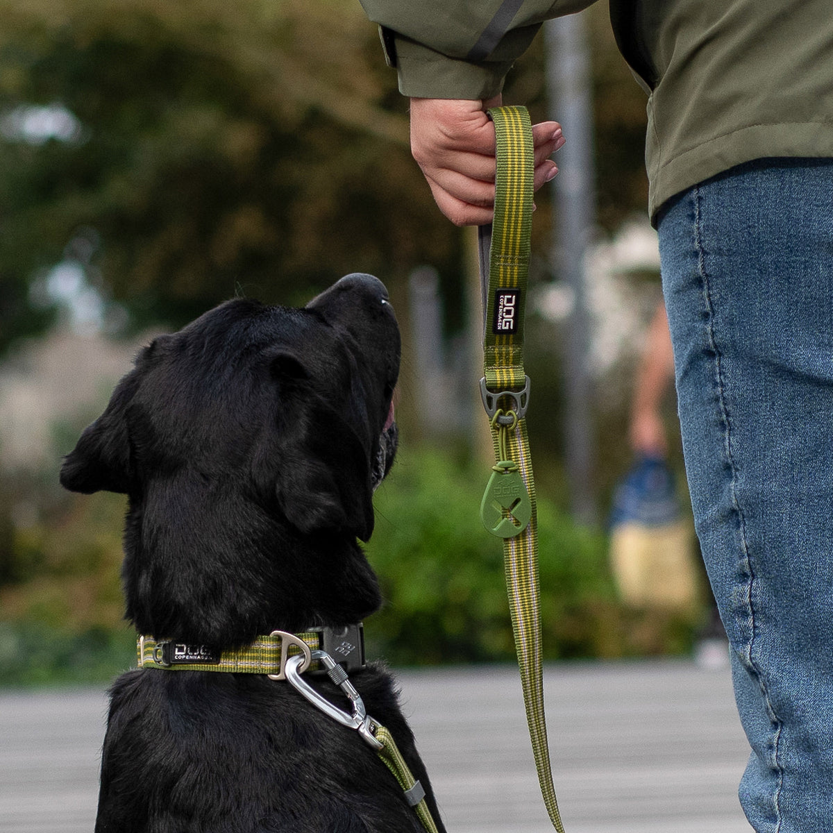 DOG Copenhagen Urban Freestyle Leash lifestyle walking scene