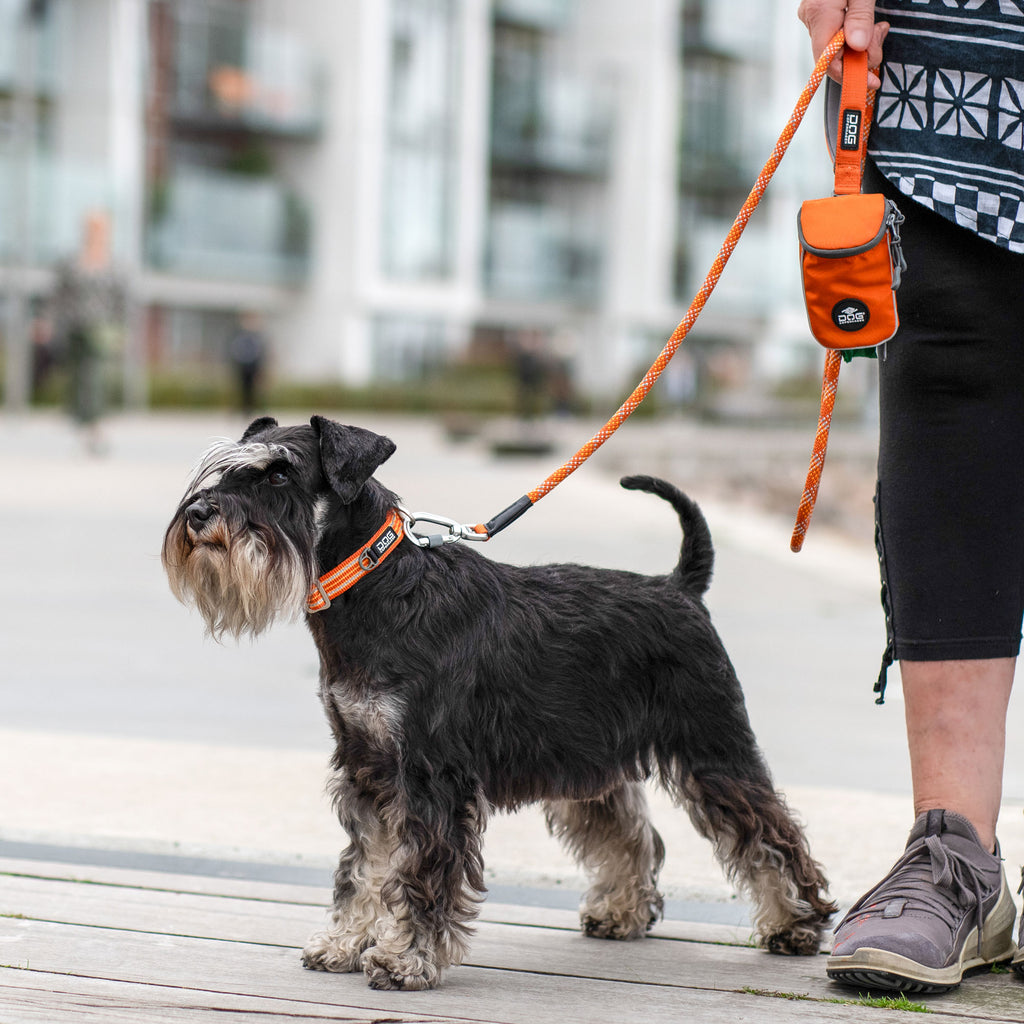 DOG Copenhagen Urban Rope Leash lifestyle with dog