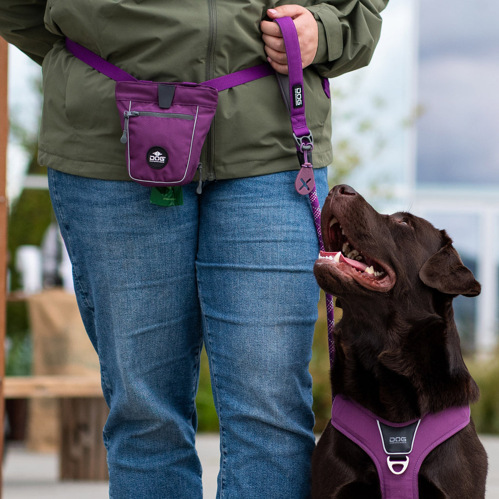DOG Copenhagen Urban Rope Leash lifestyle walking scene