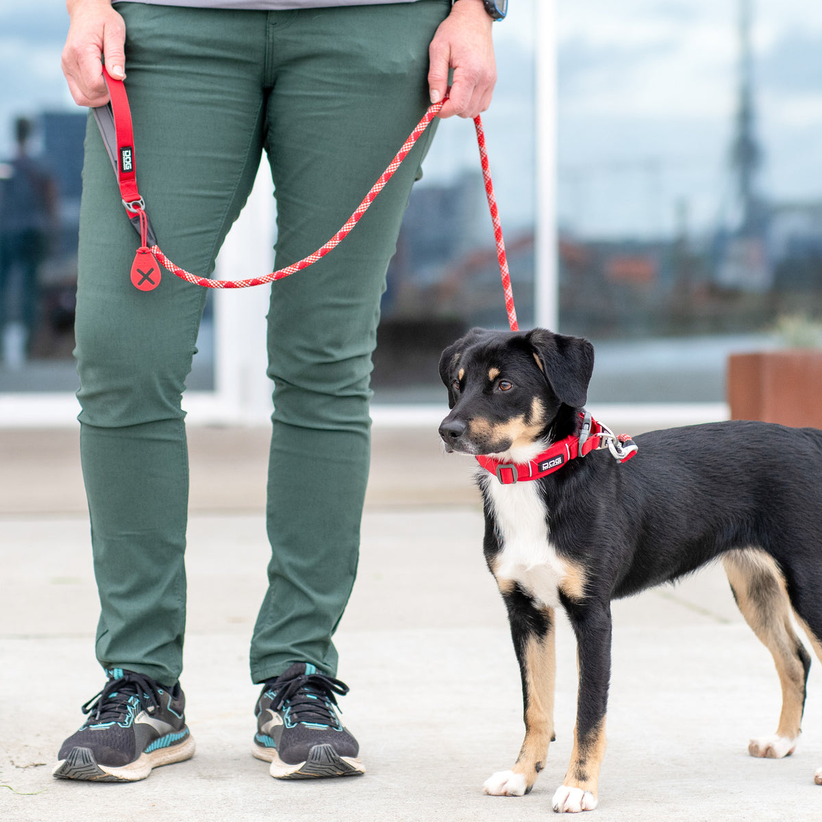 DOG Copenhagen Urban Rope Leash lifestyle walking scene