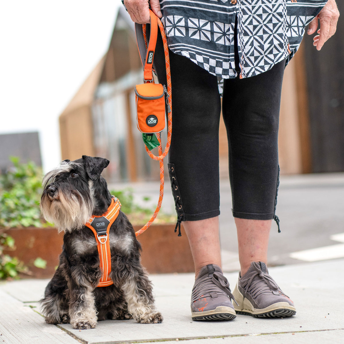 DOG Copenhagen Urban Rope Leash lifestyle with dog
