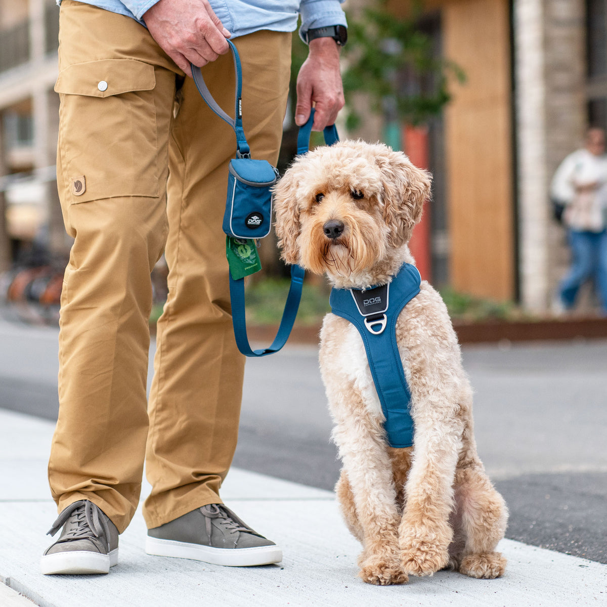 DOG Copenhagen Urban Trail Leash lifestyle