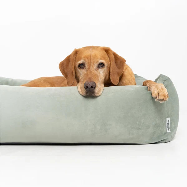 Ruff & Tumble Velvet Burnham Bolster Dog Bed in Pistachio with dog