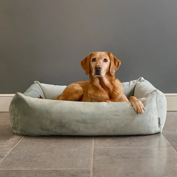 Ruff & Tumble Velvet Burnham Bolster Dog Bed in Pistachio with dog