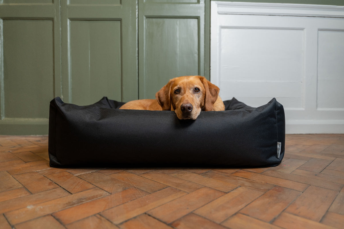 Ruff & Tumble Waterproof Burnham Bolster Dog Bed in Black with dog
