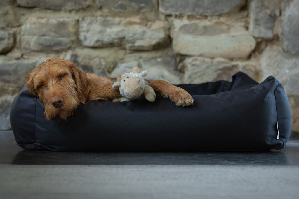 Ruff & Tumble Waterproof Burnham Bolster Dog Bed in Black