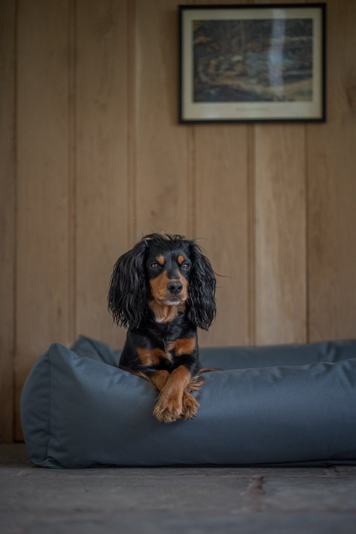 Ruff & Tumble Waterproof Burnham Bolster Dog Bed in Storm with dog