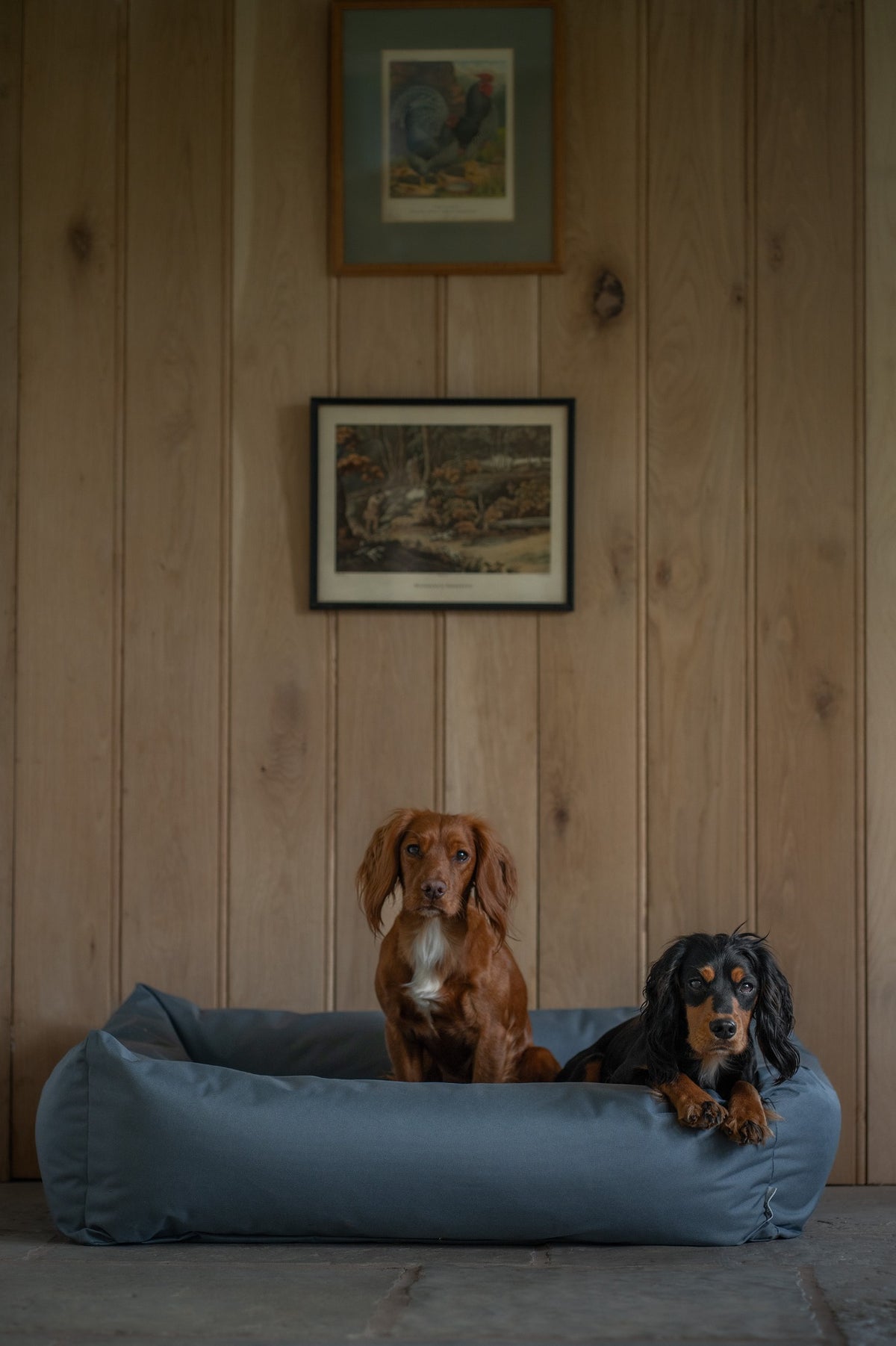 Ruff & Tumble Waterproof Burnham Bolster Dog Bed in Storm with dog