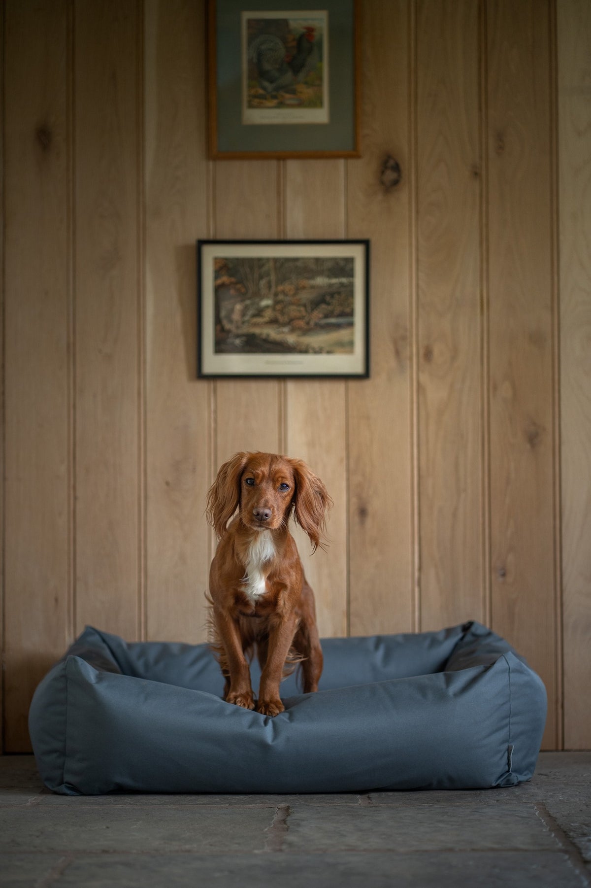 Ruff & Tumble Waterproof Burnham Bolster Dog Bed in Storm with dog