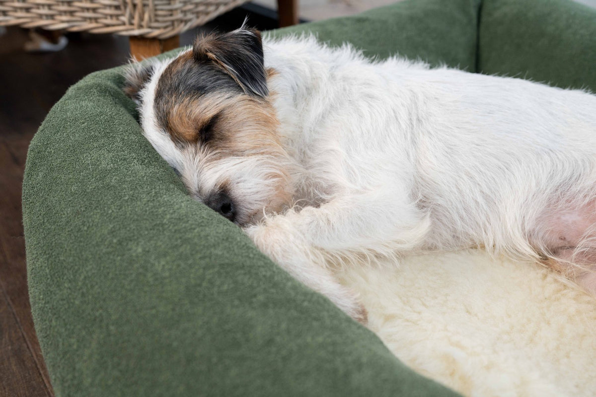 Ruff & Tumble Wool Fleece Topper
