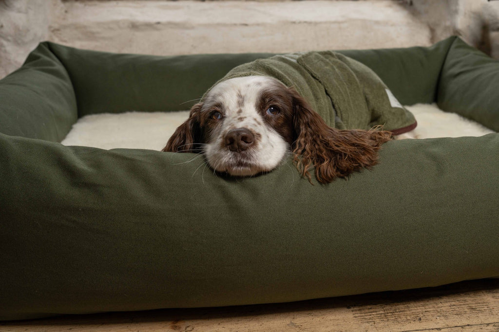 Dog resting on Ruff & Tumble wool fleece topper